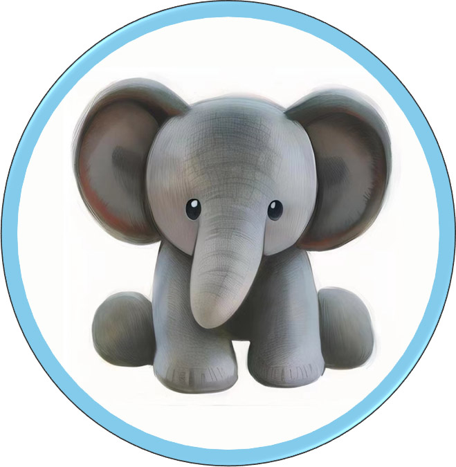 سفارشی سازی