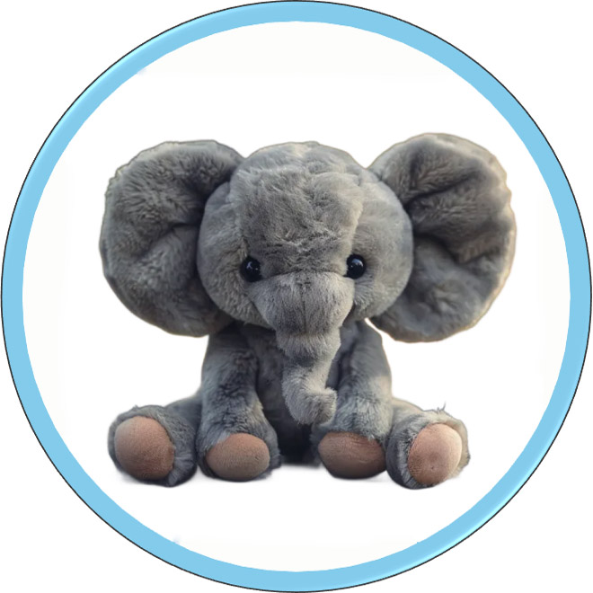 سفارشی سازی